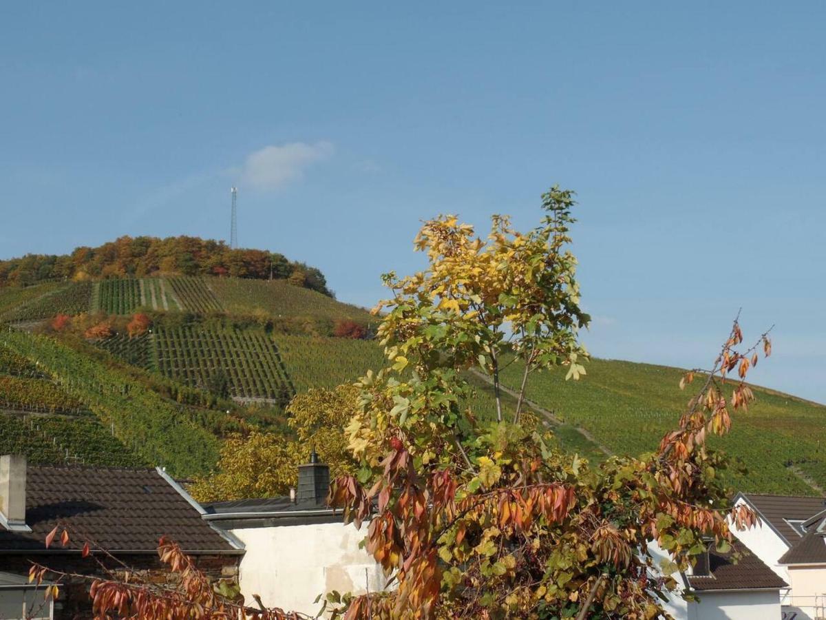 Ferienhaus Schlupfwinkel Bad Neuenahr-Ahrweiler Kültér fotó